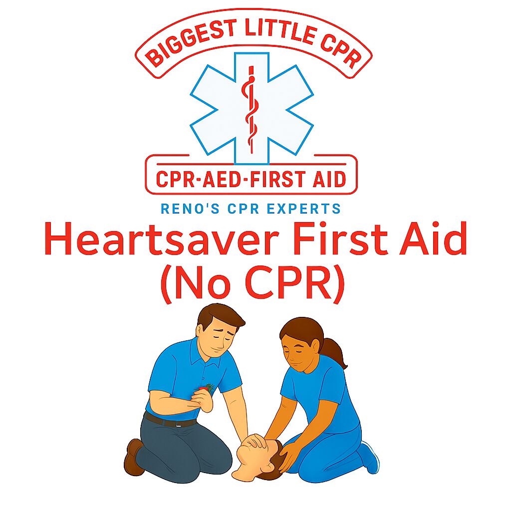 HeartSaver First Aid (NO CPR)